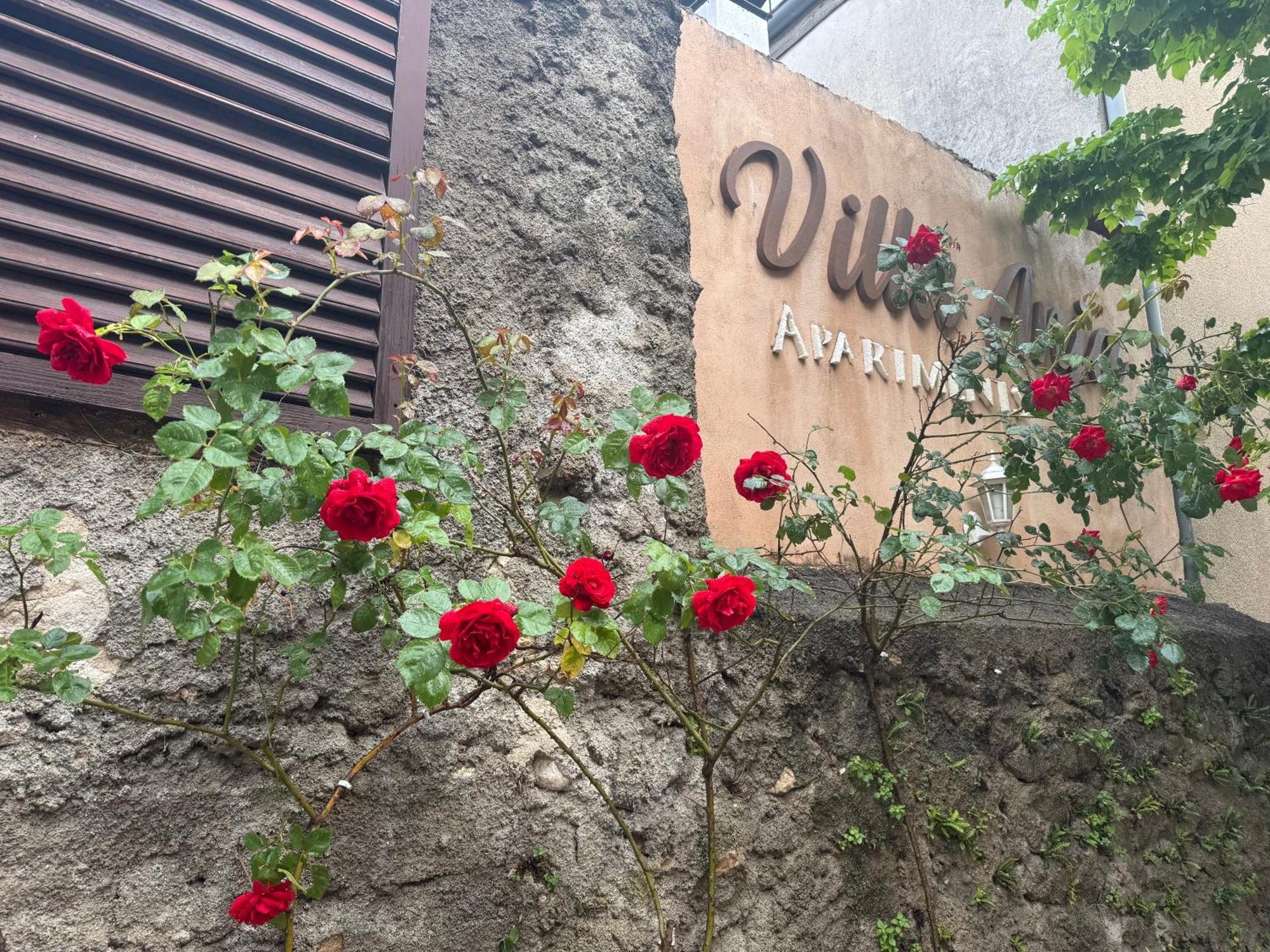 Villa Anja Apartments Мостар Екстериор снимка